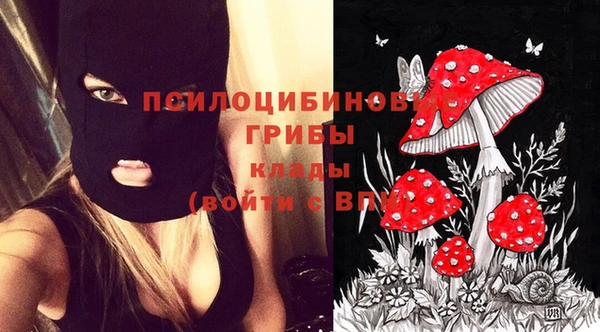 синтетический гашиш Дмитров