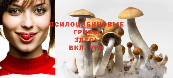 синтетический гашиш Дмитров
