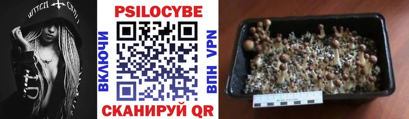 Купить закладки  Лихославль  Галлюциногенные грибы мухоморы 