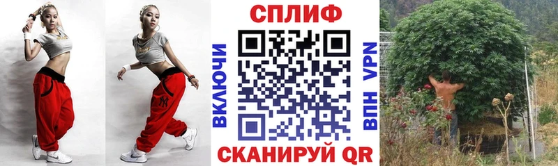 Конопля план Купить где Лихославль